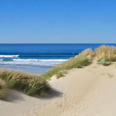 Sunny Escape By The Shore De Haan