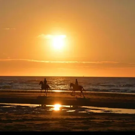 شقة Sunny Escape By The Shore