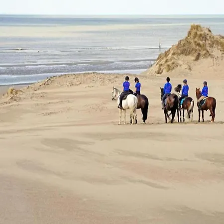 Sunny Escape By The Shore Apartment *