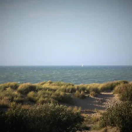 Sunny Escape By The Shore *