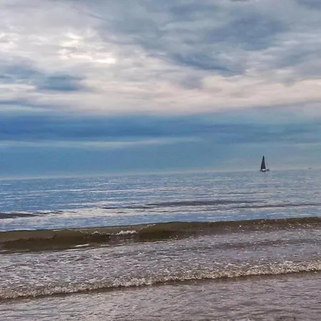 Sunny Escape By The Shore Apartment