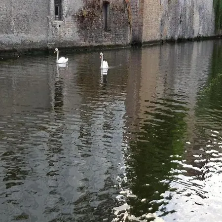 شقة Sunny Escape By The Shore