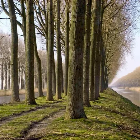 Apartment Sunny Escape By The Shore *